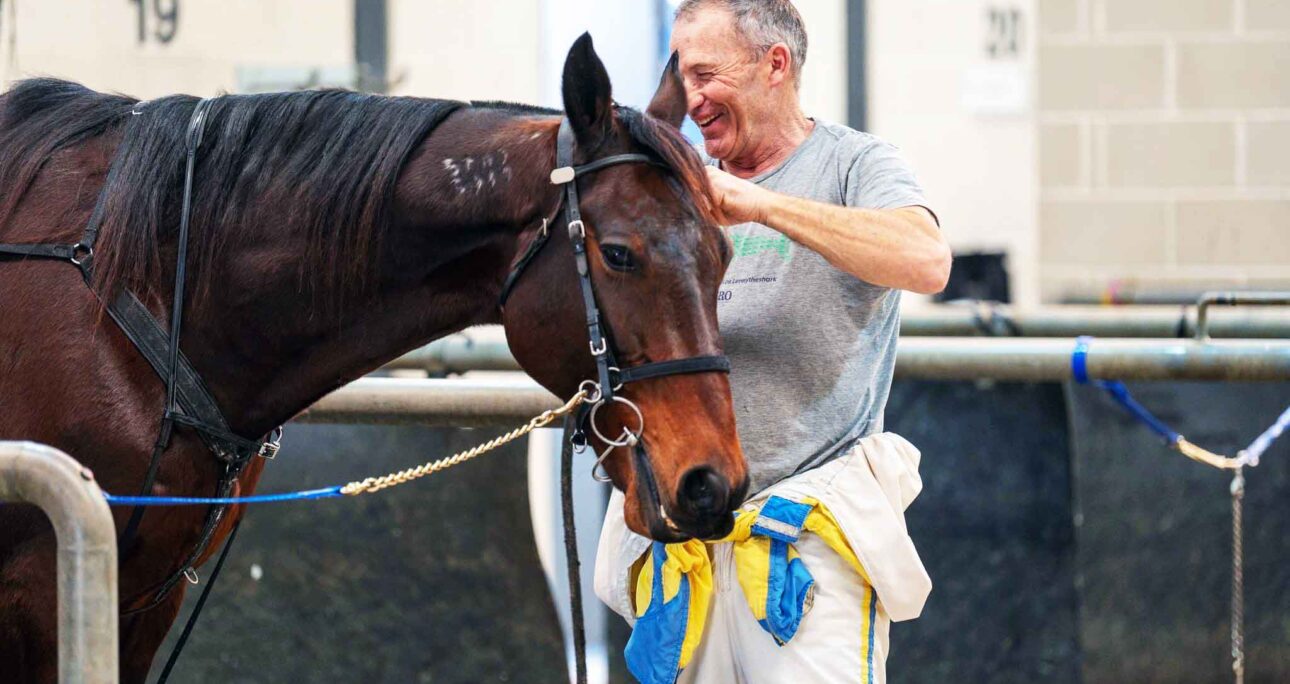Warhorse provides perfect therapy for trainer in cancer battle