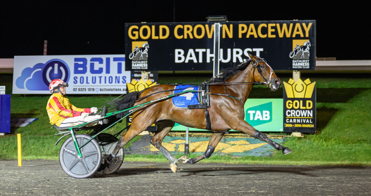 Star mare remains unbeaten in NSW Inter Dominion Series